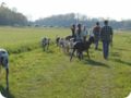 ostersonntag_-doggentreffen_089.jpg