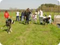 ostersonntag_-doggentreffen_125.jpg