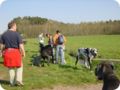 ostersonntag_-doggentreffen_133.jpg