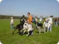 ostersonntag_-doggentreffen_145.jpg