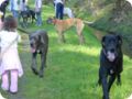 ostersonntag_-doggentreffen_151.jpg