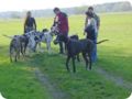 ostersonntag_-doggentreffen_152.jpg