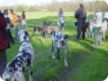 ostersonntag_-doggentreffen_154.jpg