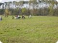 ostersonntag_-doggentreffen_158.jpg