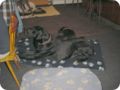 ostersonntag_-doggentreffen_174.jpg