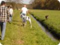 ostersonntag_-doggentreffen_191.jpg