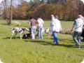 ostersonntag_-doggentreffen_192.jpg