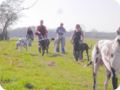 ostersonntag_-doggentreffen_198.jpg