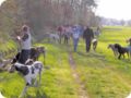 ostersonntag_-doggentreffen_210.jpg