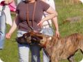 ostersonntag_-doggentreffen_214.jpg