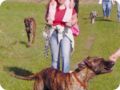 ostersonntag_-doggentreffen_215.jpg