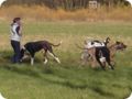 ostersonntag_-doggentreffen_216.jpg
