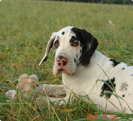uno_22.9.07_049.jpg
