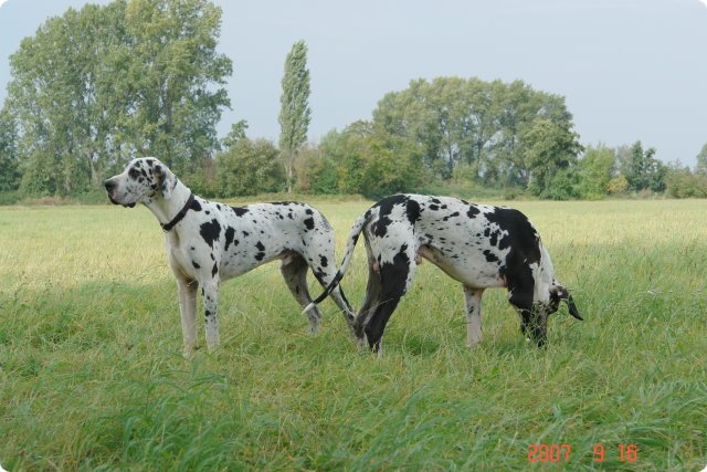 uno_15.9.07_072.jpg