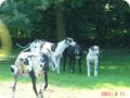 uno_090.jpg