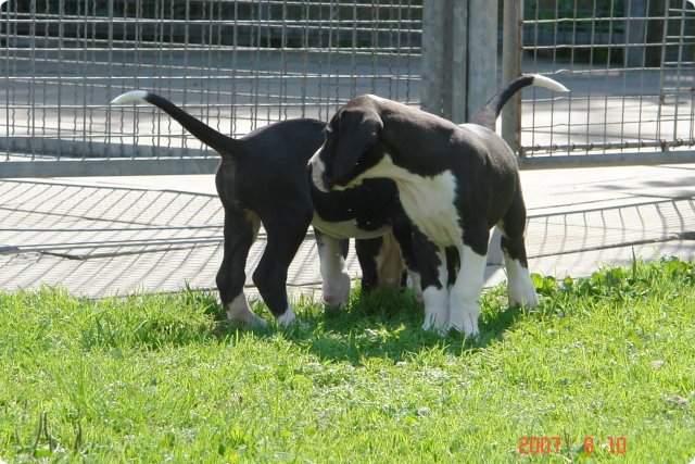 uno_027.jpg