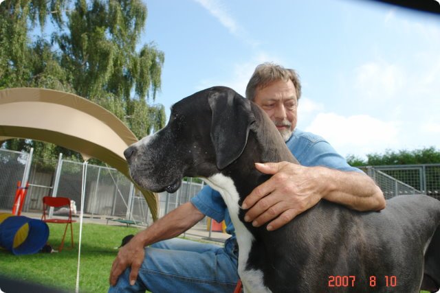 uno_040.jpg