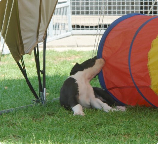 uno_041.jpg