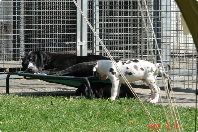 uno_045.jpg