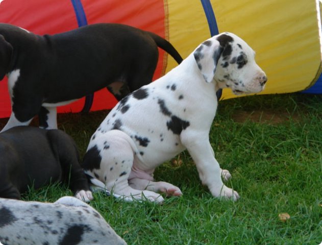 uno_070.jpg