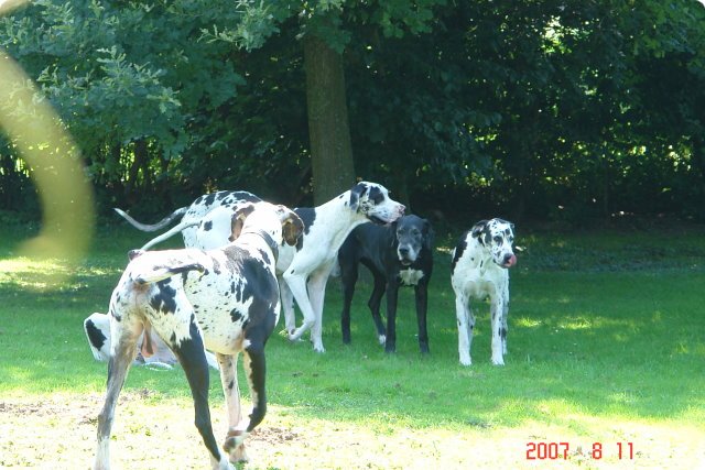 uno_090.jpg