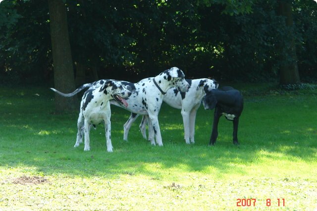 uno_091.jpg