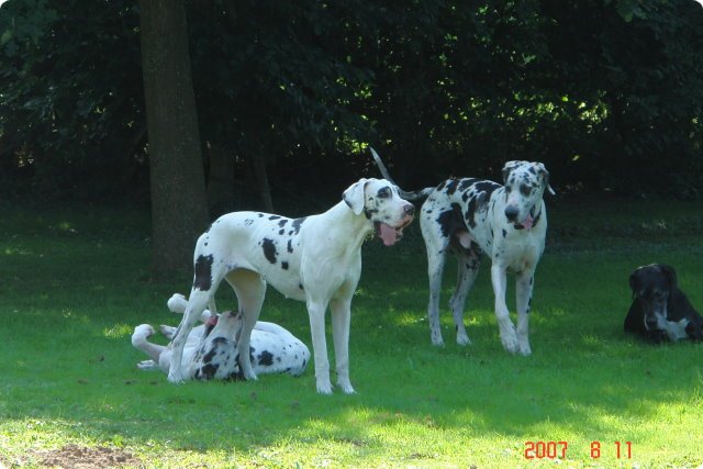 uno_094.jpg