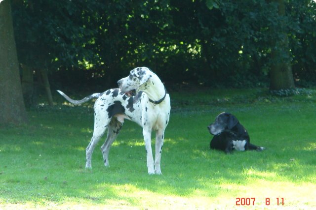 uno_095.jpg