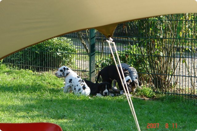 uno_275.jpg