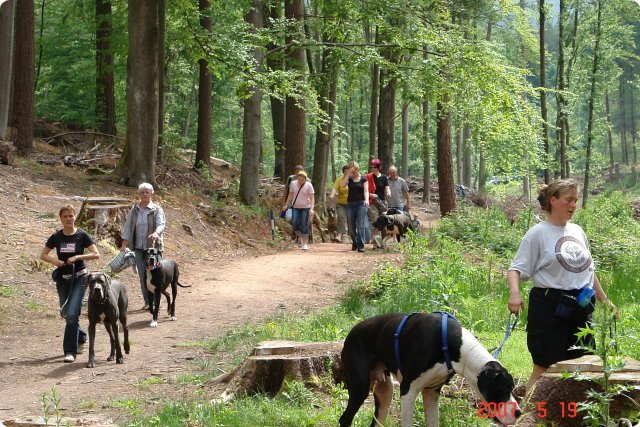 og-wandertag_048.jpg