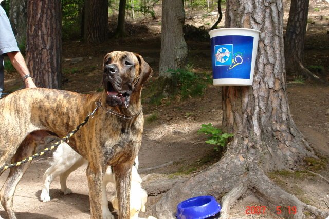 og-wandertag_058.jpg