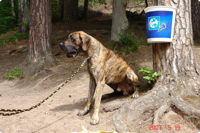og-wandertag_073.jpg