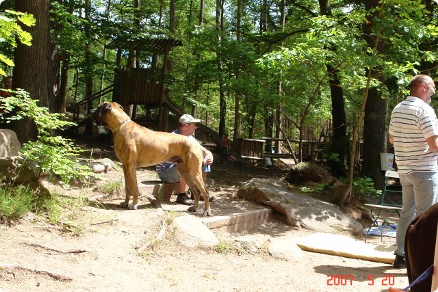 og-wandertag_083.jpg