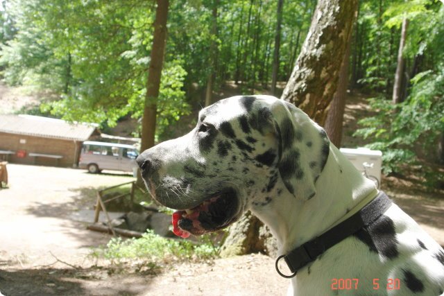 og-wandertag_103.jpg