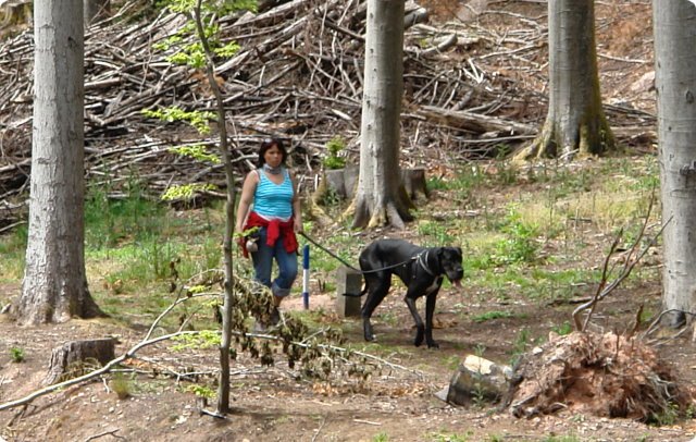 og-wandertag_108.jpg