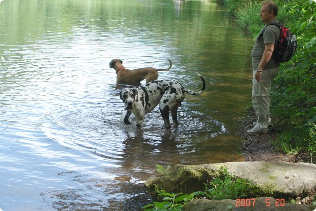 og-wandertag_111.jpg