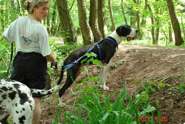 og-wandertag_112.jpg
