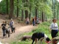 og-wandertag_048.jpg