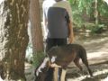 og-wandertag_094.jpg