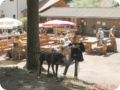 og-wandertag_104.jpg