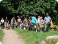 og-wandertag_120.jpg