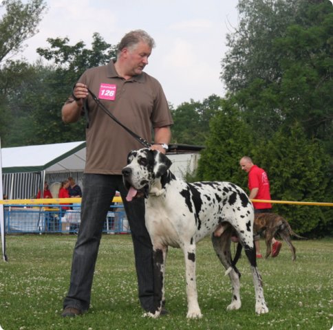 28.6.09_frankenthal_058.jpg