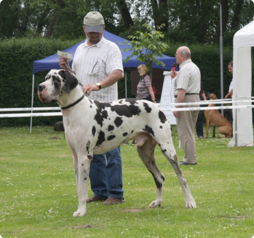 cac_roedersheim_030.jpg